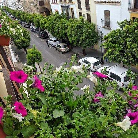 شقة El Capricho De San Fernando, Consigna Gratis Y Parking A 200Mts قرطبة المظهر الخارجي الصورة