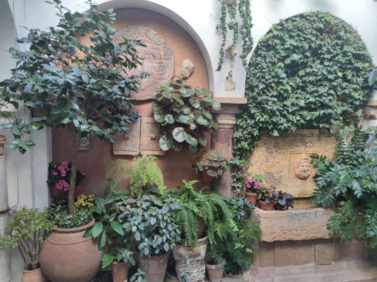 شقة El Capricho De San Fernando, Consigna Gratis Y Parking A 200Mts قرطبة المظهر الخارجي الصورة