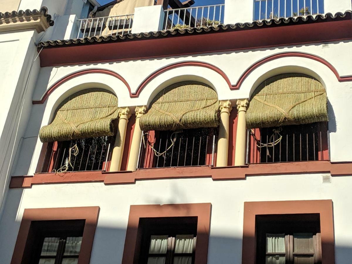 شقة El Capricho De San Fernando, Consigna Gratis Y Parking A 200Mts قرطبة المظهر الخارجي الصورة